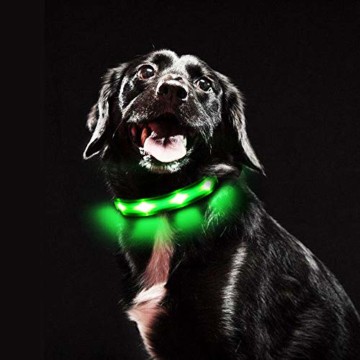 Aufladbares Leuchthalsband für Hunde