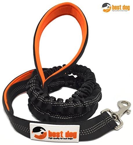 6ft Hundeleine Mit Doppelgriff & Reflektierendem Nylon – Perfekt Für Große Und Kleine Hunde