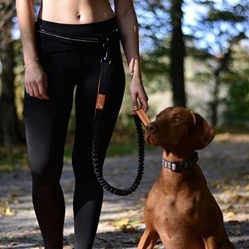 ELLIE Premium Jogging Hundeleine mit verstellbarem Bauchgurt 