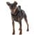 Ergotrekking Nylon-Hundegeschirr mit reflektierenden Absetzungen 
