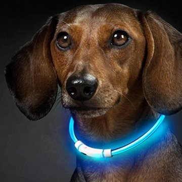Hunde Leuchthalsband LED in 3 Leuchtmodis