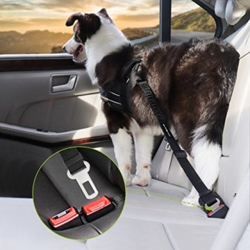 Hunde Sicherheits Gurt fürs Auto mit elastischer Ruckdämpfung