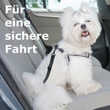Click ISOFIX Hundegurt  Hunde Sicherheitsgurt 