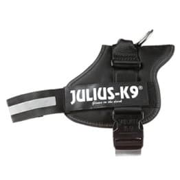 JULIUS-K9, Powergeschirr, schwarz