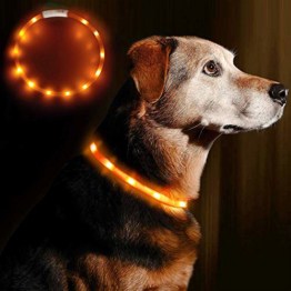 LED Leuchthalsband für Hunde