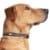 PetTec Hundehalsband aus Trioflex Gr. S, Braun