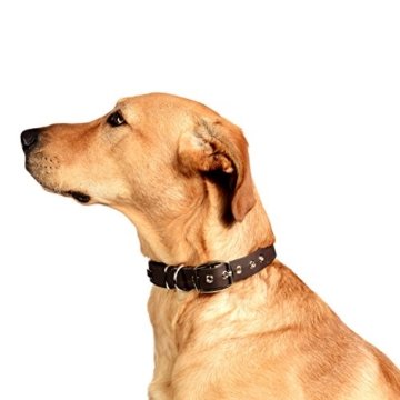 PetTec Hundehalsband aus Trioflex mit Polsterung in Braun