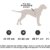 Reflektierendes Hundegeschirr für kleine und große Hunde