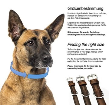 Schnüffelfreunde Hundehalsband aus Leder in Braun